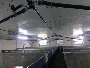 BERTHELOT CHARPENTE PORCHERIE ENGRAISSEMENT