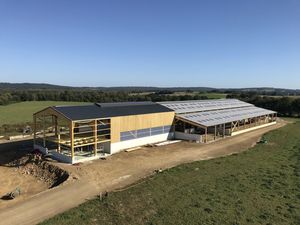 Stabulation vaches laitières Berthelot Charpentes