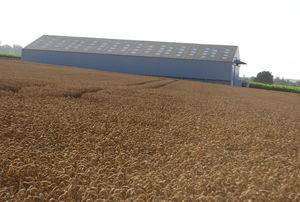 HANGAR CEREALES BERTHELOT CHARPENTES