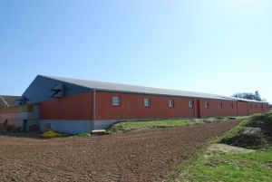 BERTHELOT CHARPENTE PORCHERIE MATERNITE